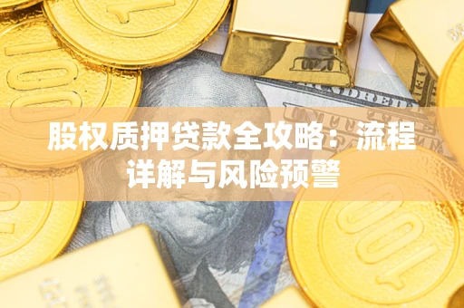 北京股权质押贷款全攻略：流程详解与风险预警