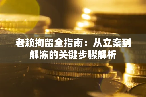北京老赖拘留全指南：从立案到解冻的关键步骤解析